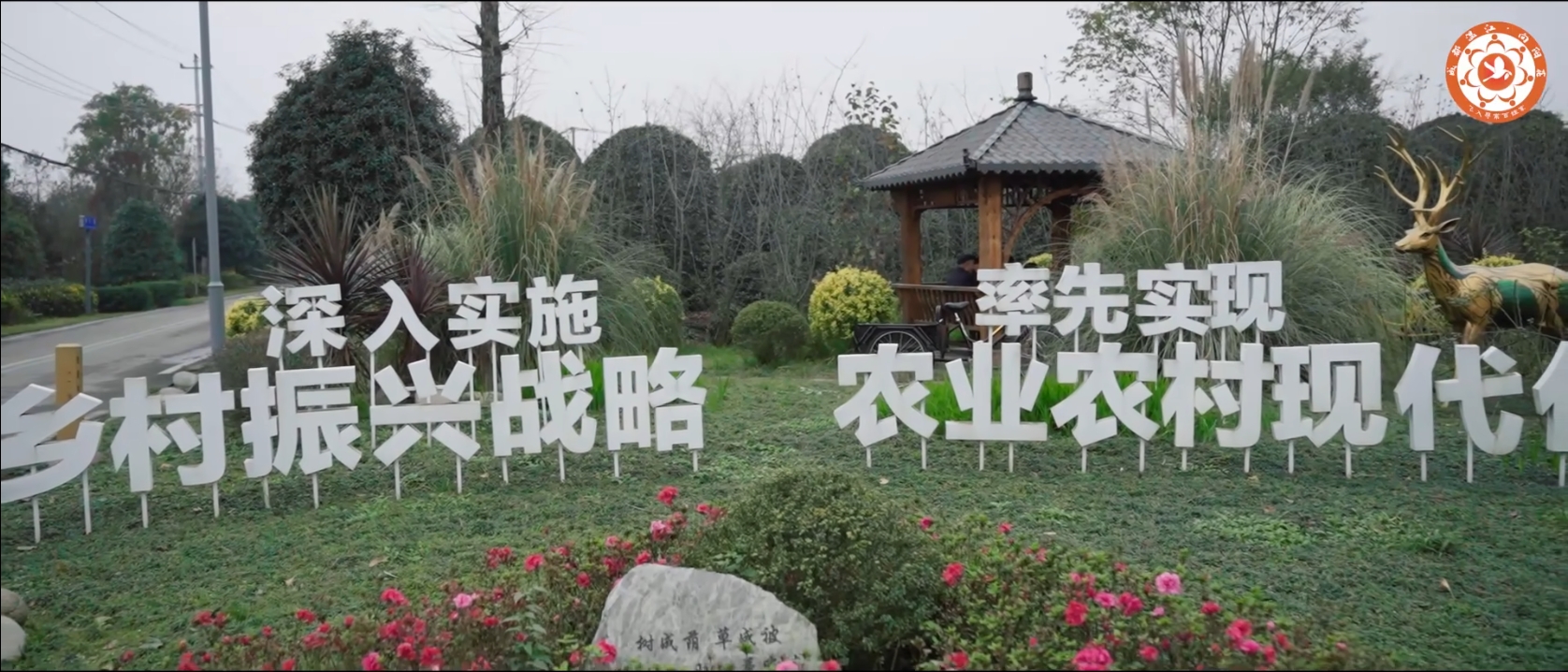 成都市温江区寿安镇向阳花宣讲主题片